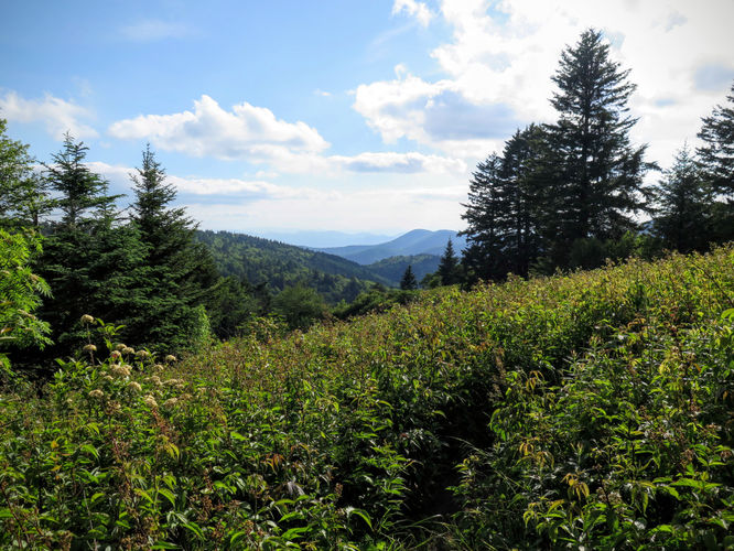 Picture 42 of Middle Prong Wilderness Hike 061916