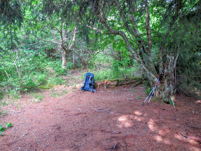 Picture 43 of Middle Prong Wilderness Hike 061916