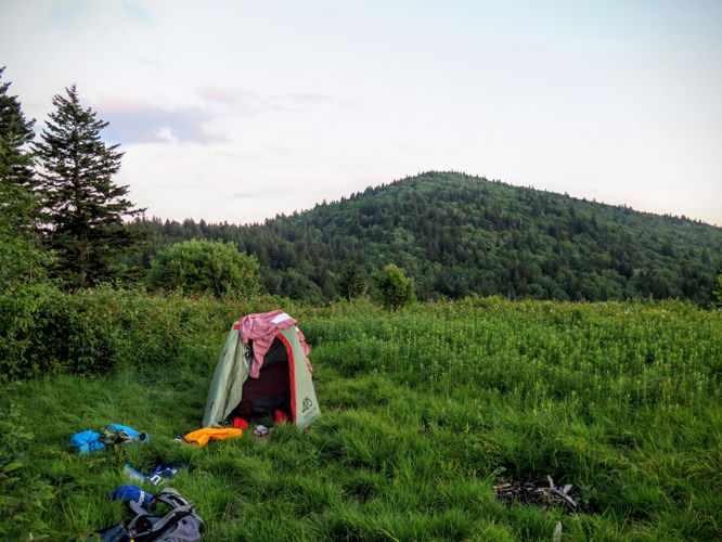 Picture 48 of Middle Prong Wilderness Hike 061916
