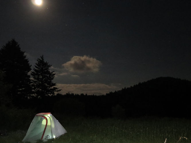 Picture 51 of Middle Prong Wilderness Hike 061916