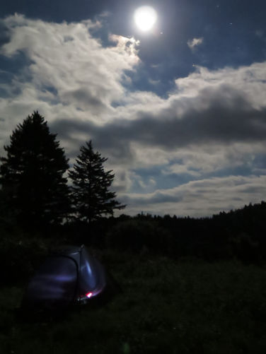 Picture 53 of Middle Prong Wilderness Hike 061916