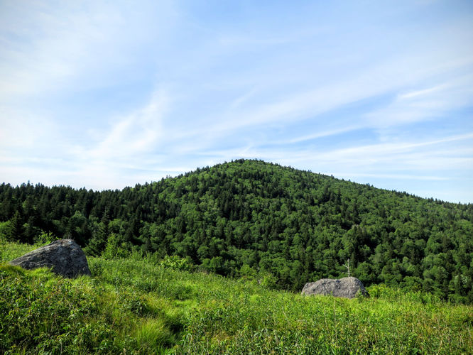 Picture 56 of Middle Prong Wilderness Hike 061916