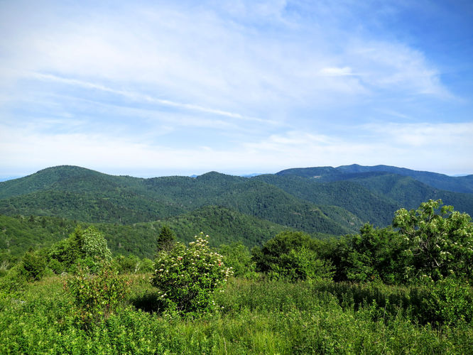 Picture 57 of Middle Prong Wilderness Hike 061916