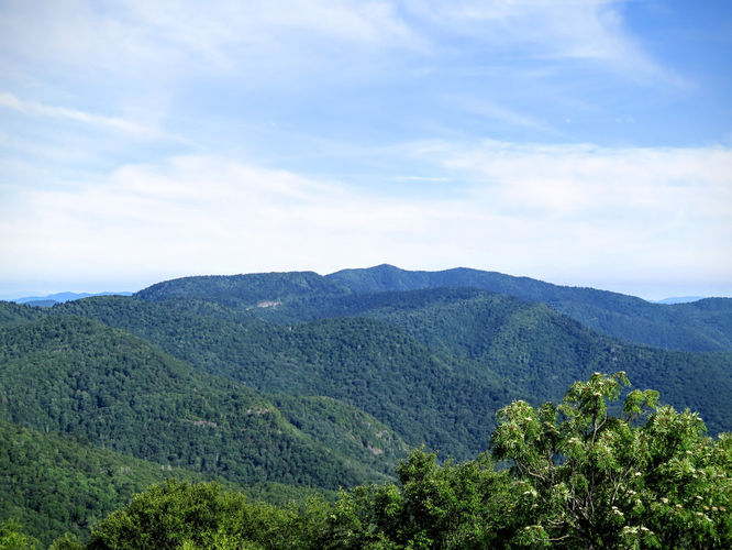 Picture 58 of Middle Prong Wilderness Hike 061916