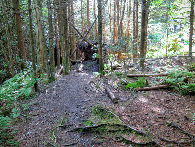 Picture 60 of Middle Prong Wilderness Hike 061916