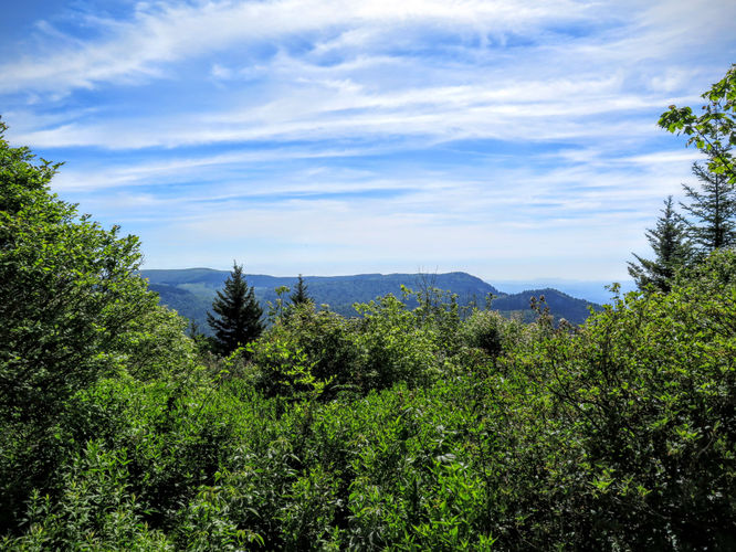 Picture 63 of Middle Prong Wilderness Hike 061916