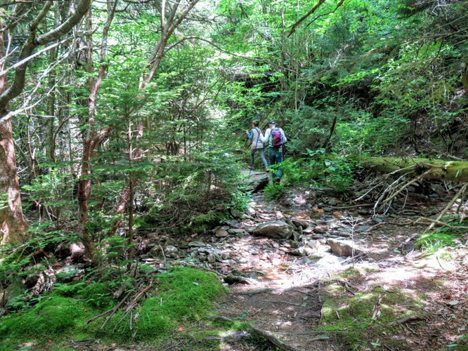 Picture 66 of Middle Prong Wilderness Hike 061916