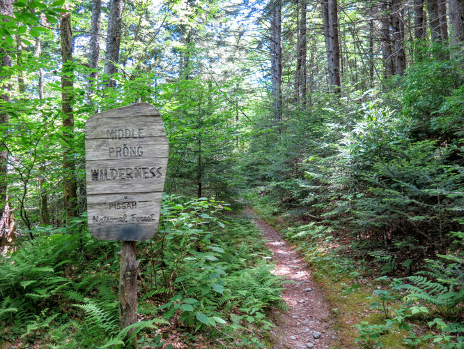 Picture 67 of Middle Prong Wilderness Hike 061916