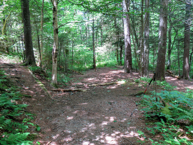 Picture 68 of Middle Prong Wilderness Hike 061916