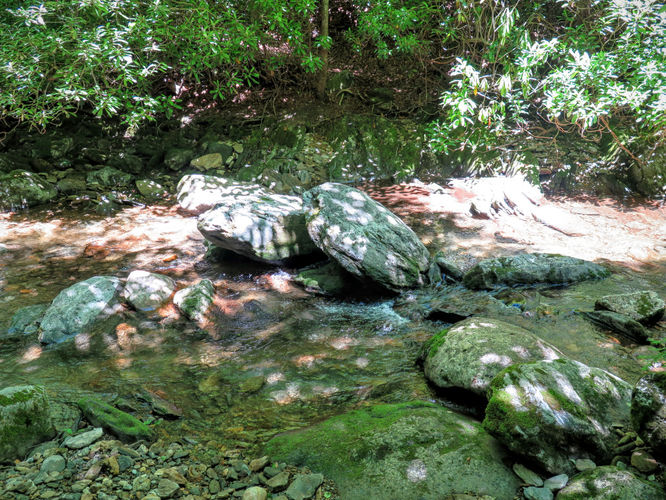 Picture 73 of Middle Prong Wilderness Hike 061916