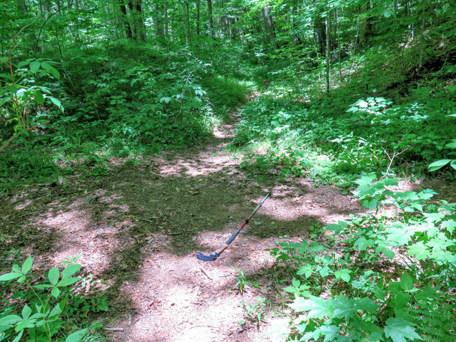 Picture 76 of Middle Prong Wilderness Hike 061916
