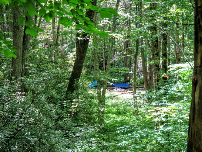 Picture 77 of Middle Prong Wilderness Hike 061916