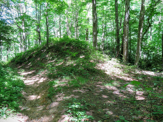 Picture 83 of Middle Prong Wilderness Hike 061916
