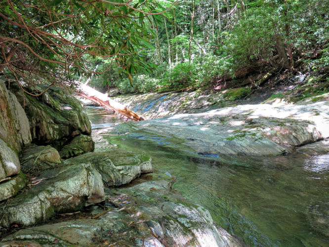 Picture 85 of Middle Prong Wilderness Hike 061916