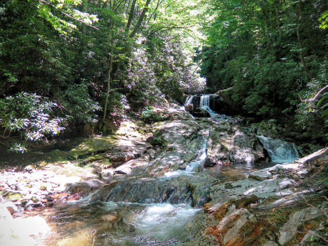 Picture 86 of Middle Prong Wilderness Hike 061916