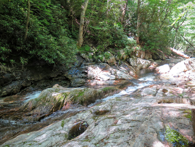 Picture 87 of Middle Prong Wilderness Hike 061916
