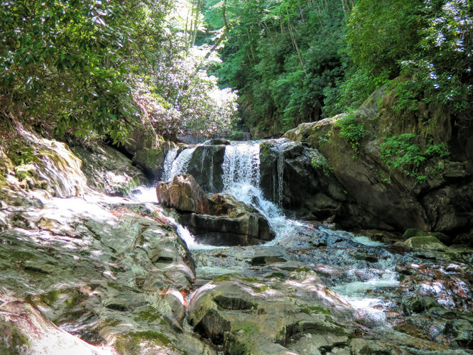 Picture 88 of Middle Prong Wilderness Hike 061916