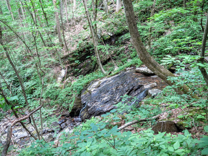 Picture 97 of Middle Prong Wilderness Hike 061916