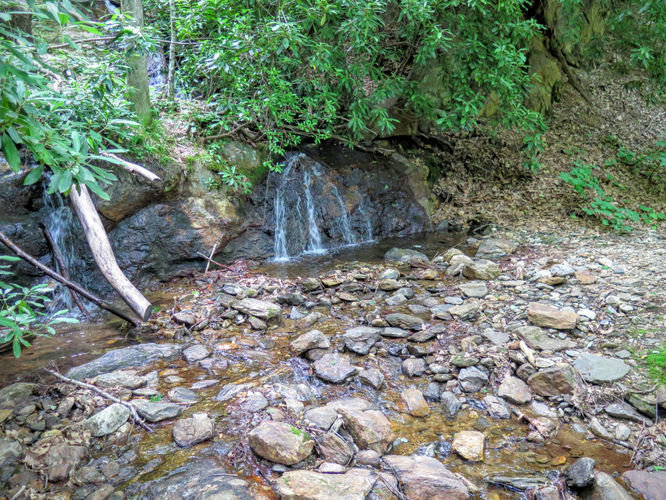Picture 98 of Middle Prong Wilderness Hike 061916