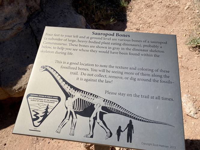 Sauropod bones interpretive sign