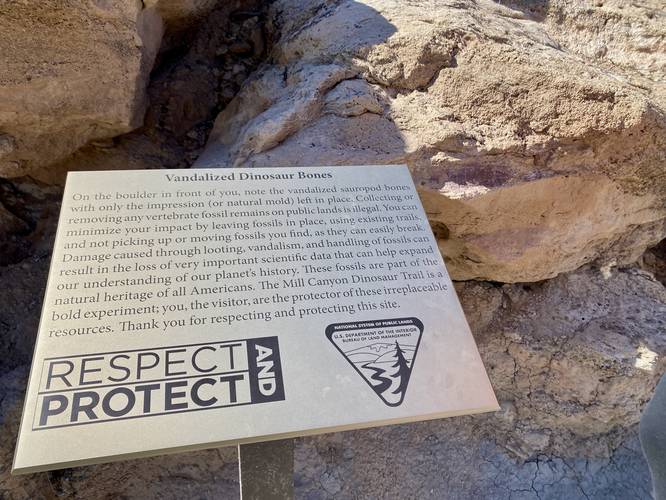 Do not touch, vandalize, or remove dinosaur bones -- its against the law!