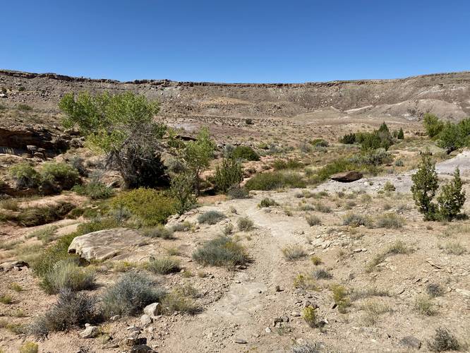 Hiking down the hill to reach the interpretive trail