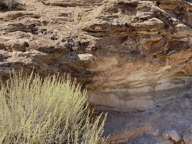More dinosaur bones hidden within the rock