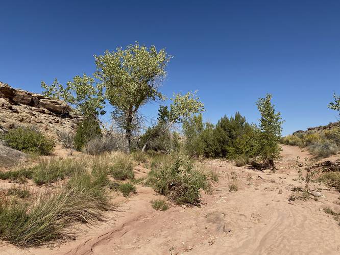 Sandy trail leads back to parking