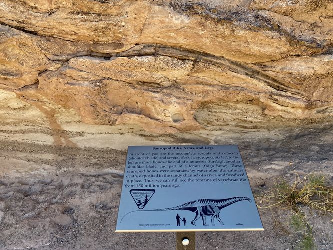 Mill Canyon Dinosaur Trailhead Interpretive Site default picture