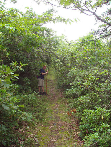 Picture 18 of Mill Mountain Hike 070203