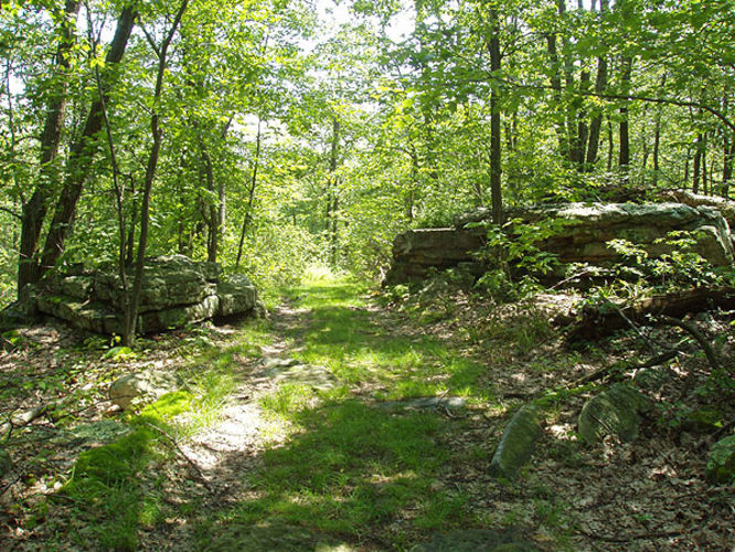Picture 8 of Mill Mountain Hike 070203