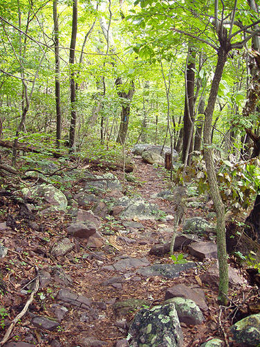 Picture 3 of Mill Mountain Hike 070203