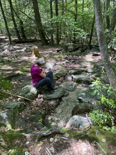 Picture 4 of Mill Mountain and Little Stony Creek Loop
