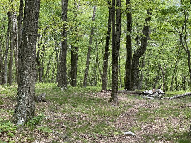 Campsite