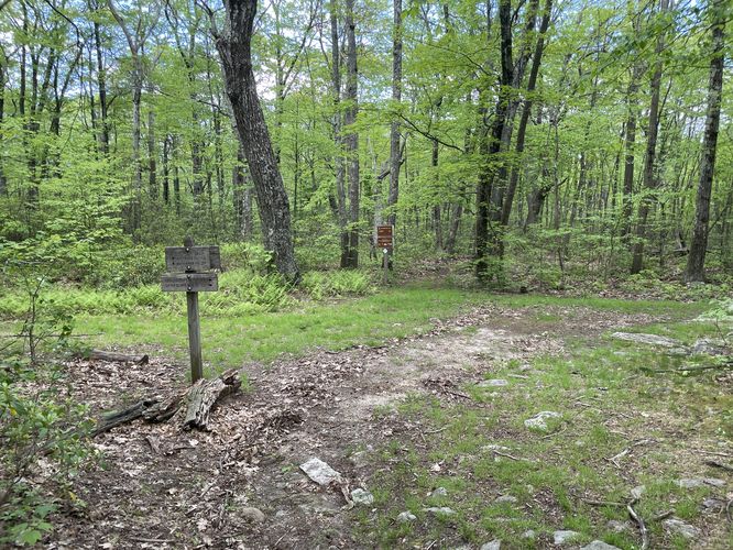 Picture 7 of Mill Mountain and Little Stony Creek Loop