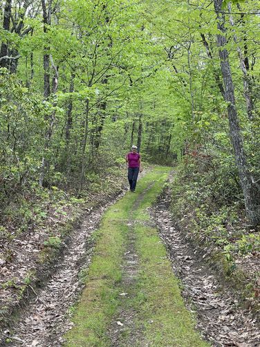 Picture 8 of Mill Mountain and Little Stony Creek Loop