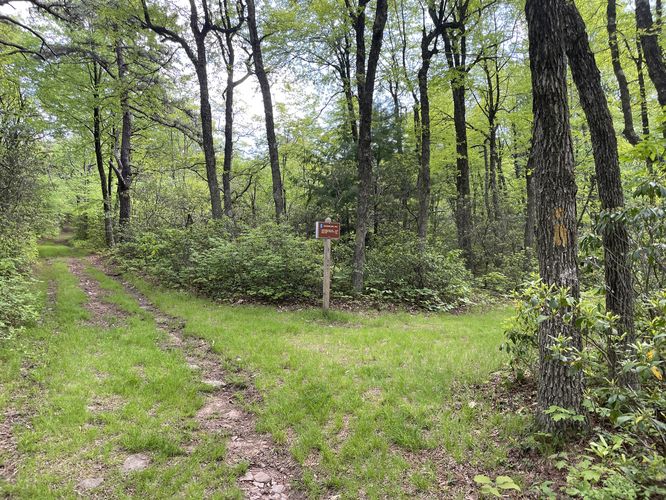 Picture 10 of Mill Mountain and Little Stony Creek Loop