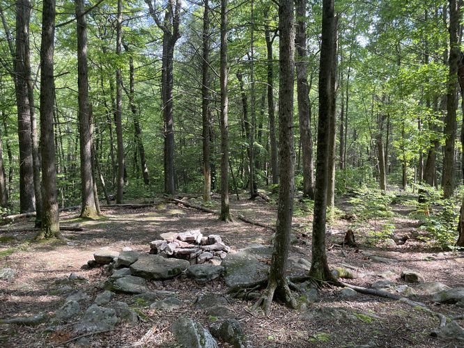 Campsite