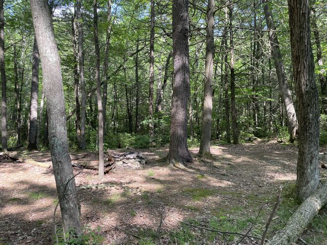 Campsite