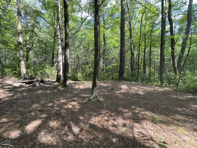 Campsite