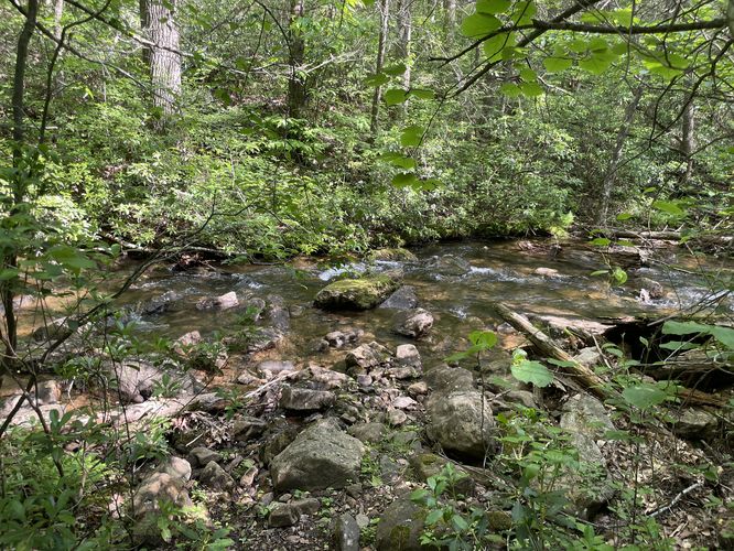 Water Source / Water Crossing