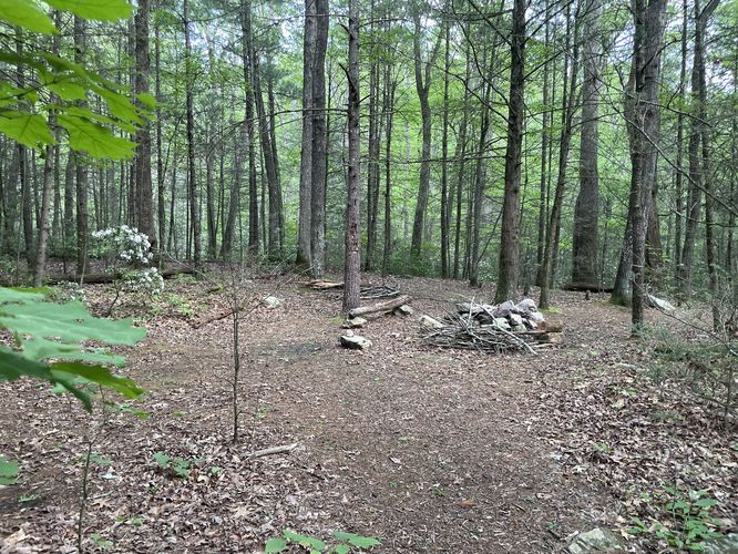 Campsite
