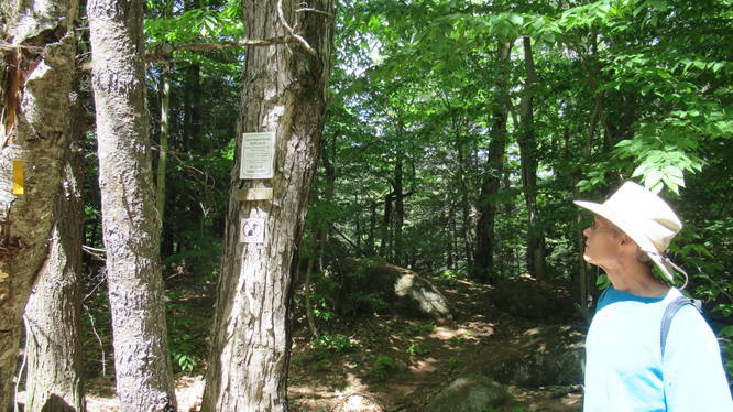 Exit of Mill Pond Trail