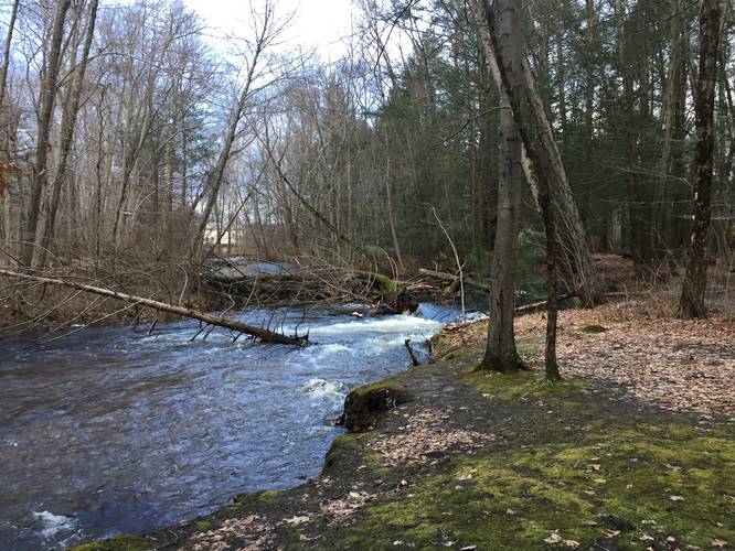 Mill River Conservation Area Loop