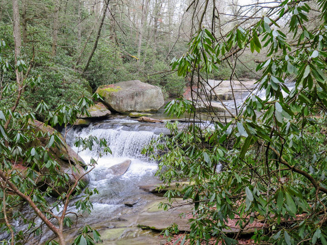 Picture 11 of Mill Shoals and Bird Rock Falls Hike 011617
