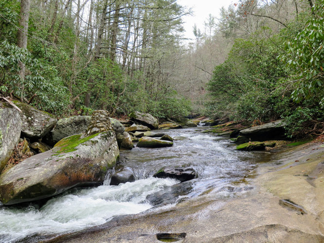 Picture 12 of Mill Shoals and Bird Rock Falls Hike 011617