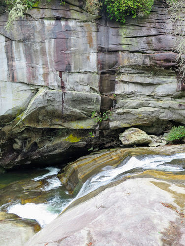 Picture 14 of Mill Shoals and Bird Rock Falls Hike 011617