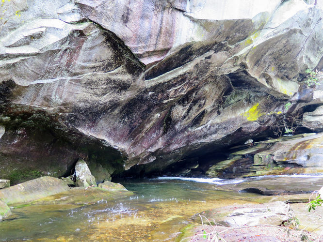 Picture 16 of Mill Shoals and Bird Rock Falls Hike 011617