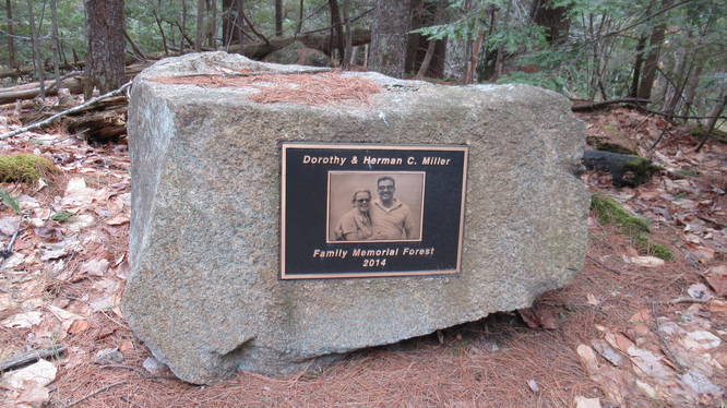 Miller Memorial Forest stone