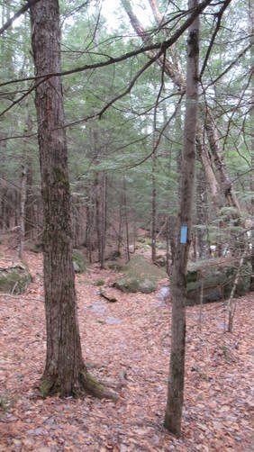 Trail and markers 